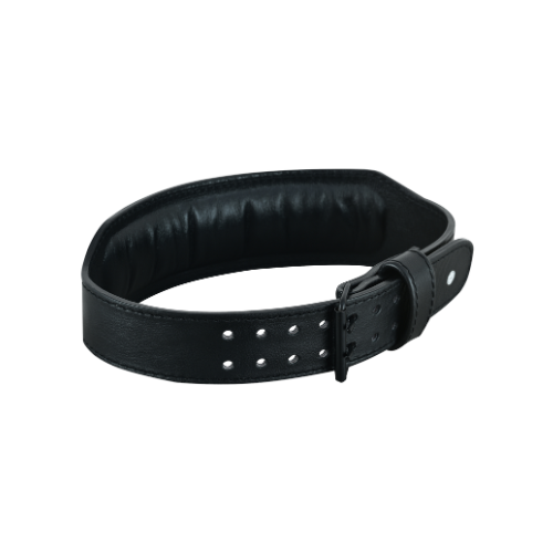 Buckle Lifting Belt