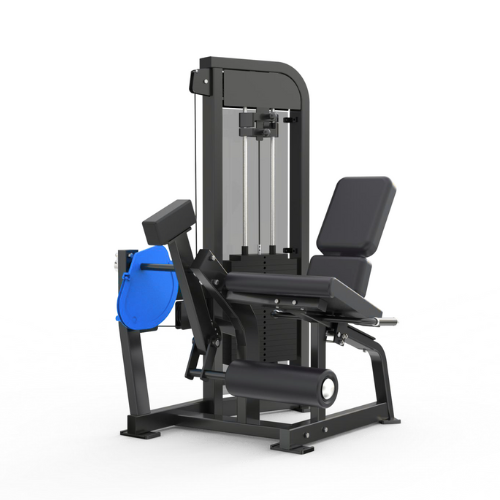 Seated Leg Extension