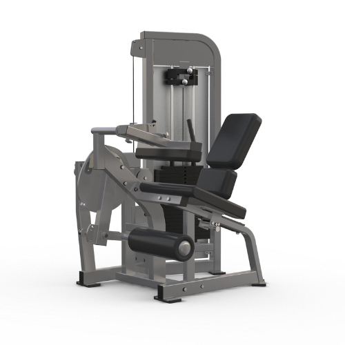 Leg Extension / Curl