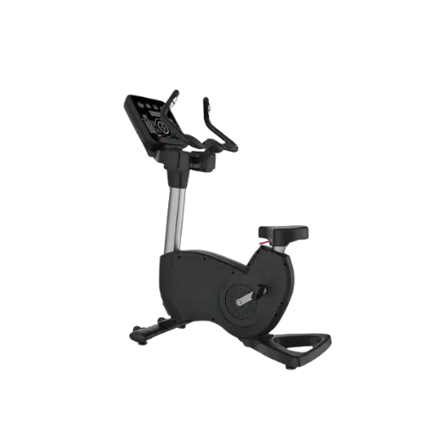 Pro Upright Exercise Bike